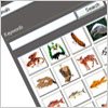 Clipart Manager Graphic