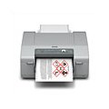 Epson C831 ColorWorks Inkjet Label Printers Picture